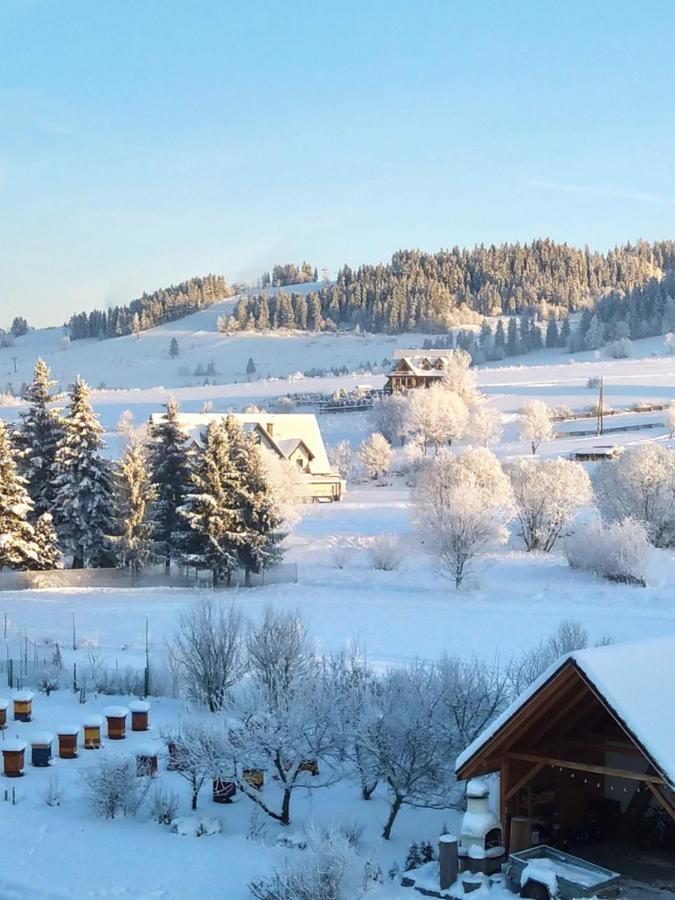 To Tu Lägenhet Czarna Góra Exteriör bild