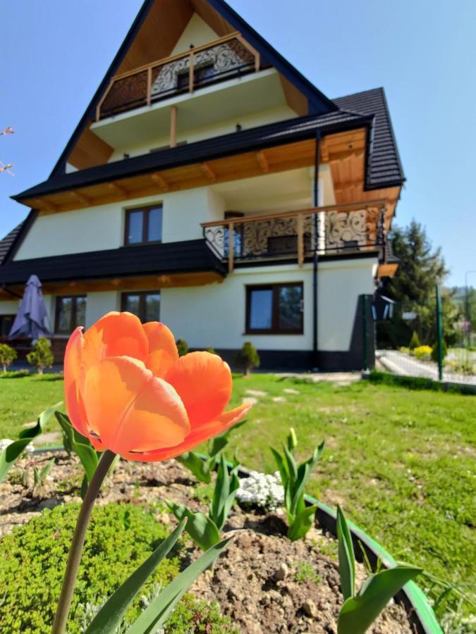 To Tu Lägenhet Czarna Góra Exteriör bild